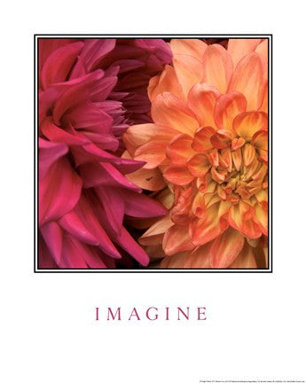 Imagine Flowers