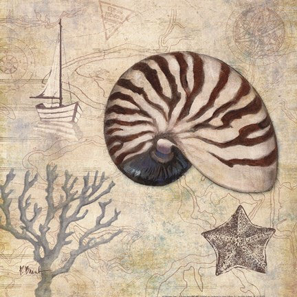 Discovery Shell I