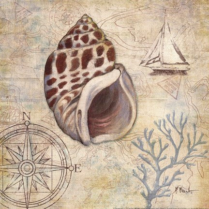 Discovery Shell IV