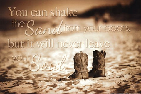 Shake  The Sand