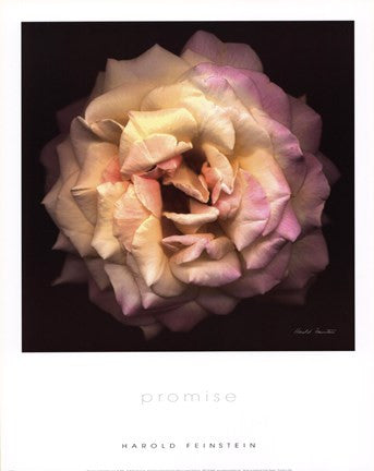 Promise (small)