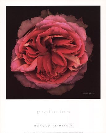 Profusion