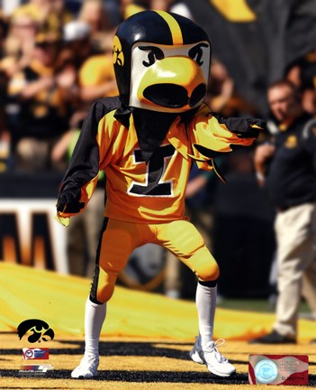 Herky the Hawk, the University of Iowa Hawkeyes Mascot