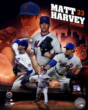 Matt Harvey 2013 Portrait Plus