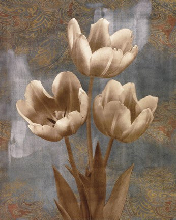 Tulip II