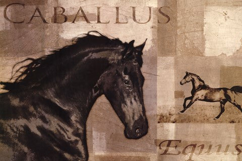 Caballus I