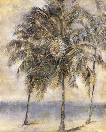 Palm Hammock II