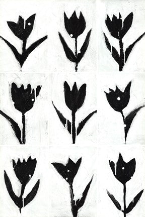 Tulip Noir Composite