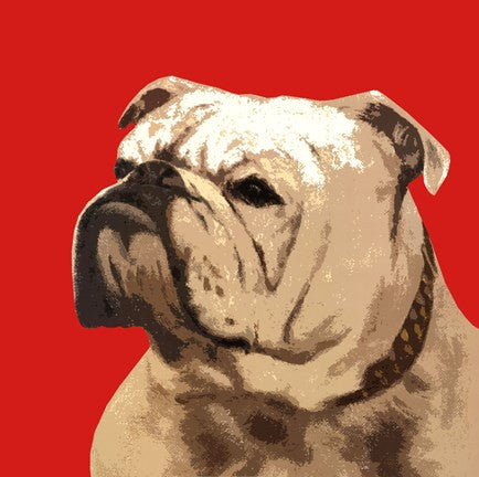 The British Bulldog, Red