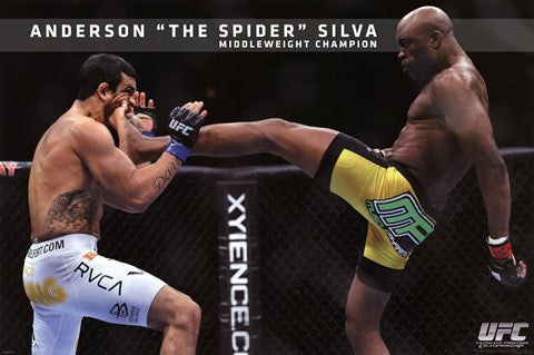 UFC - Anderson Silva