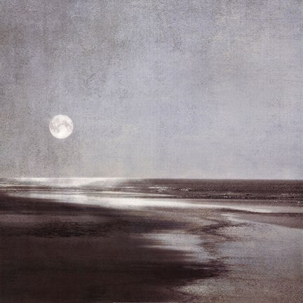 Moonlit Beach