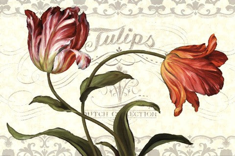 Tulipa Botanica I Cream