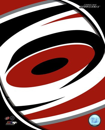 Carolina Hurricanes 2013 Team Logo