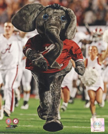 The University of Alabama Crimson Tide Mascot