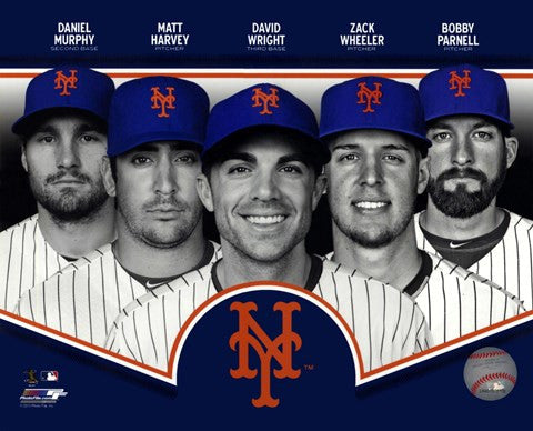 New York Mets 2013 Team Composite