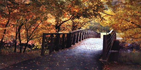 Autumn Overpass-Special