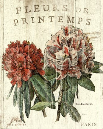 Fleur de Printemps