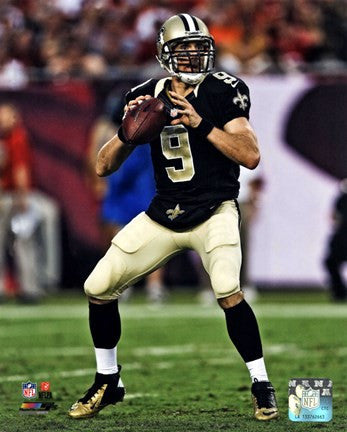 Drew Brees 2013 Action