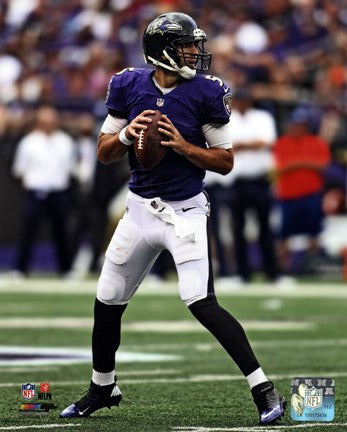 Joe Flacco 2013