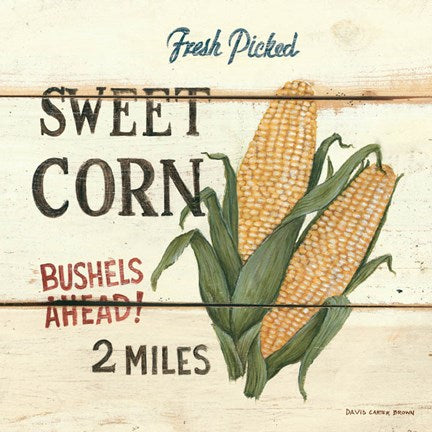 Fresh Picked Sweet Corn