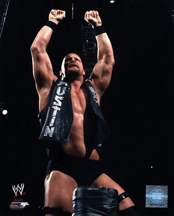 Stone Cold Steve Austin 2001 Action