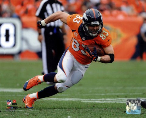 Wes Welker 2013 Action