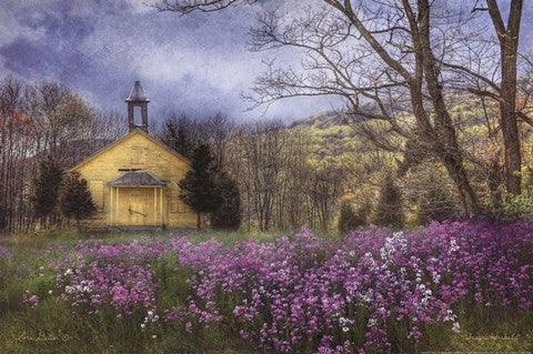 Fragrant Field