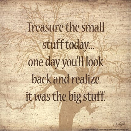 Treasure the Small Stuff