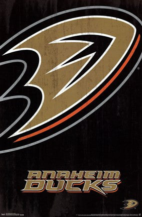 Anaheim Ducks® - Logo 13