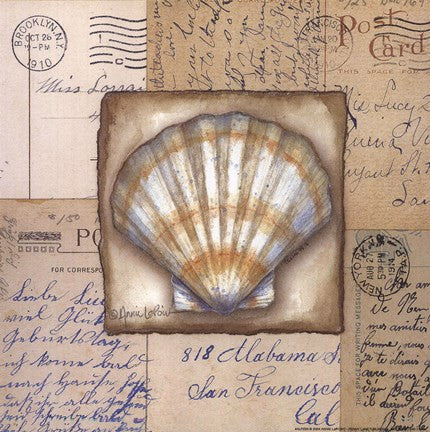 Scallop Shell