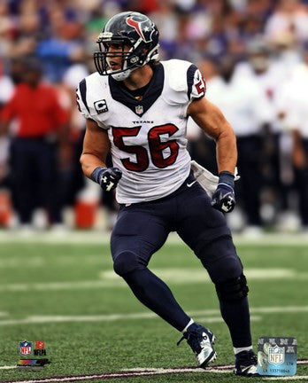 Brian Cushing 2013 Action