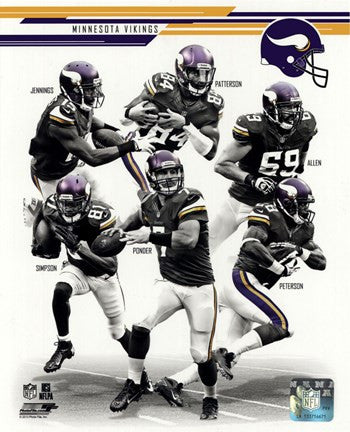 Minnesota Vikings 2013 Team Composite