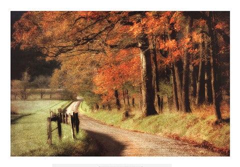 Autumn's Morning Light