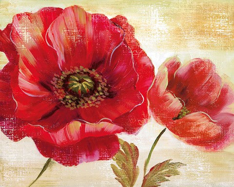 Passion for Poppies I