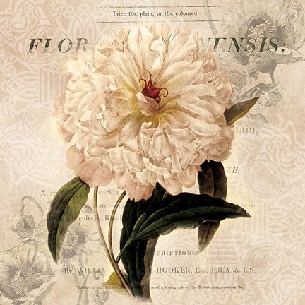 White Peony I