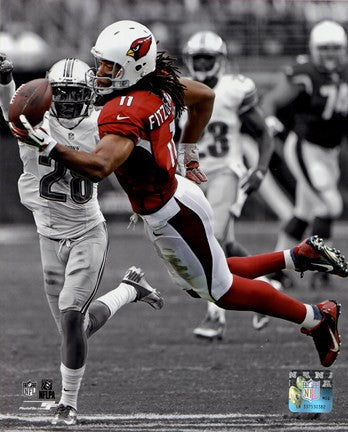 Larry Fitzgerald 2013 Spotlight Action