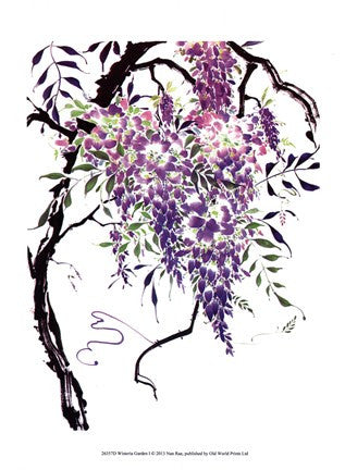 Wisteria Garden I