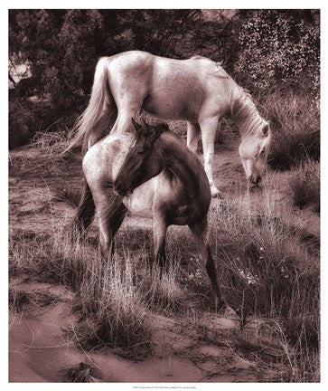 Beach Horses II