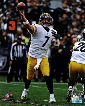 Ben Roethlisberger 2013 Action