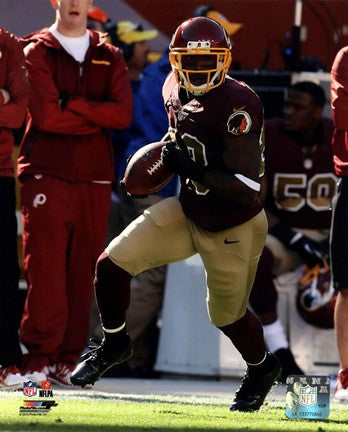 Pierre Garcon with the ball 2013