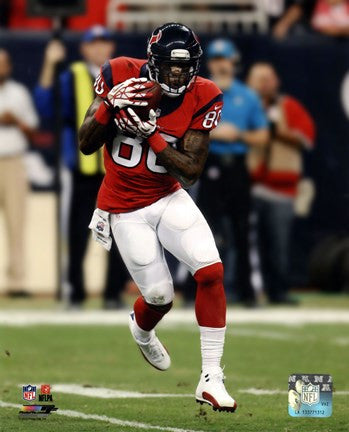 Andre Johnson 2013 Action