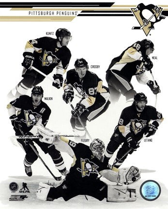 Pittsburgh Penguins 2013-14 Team Composite