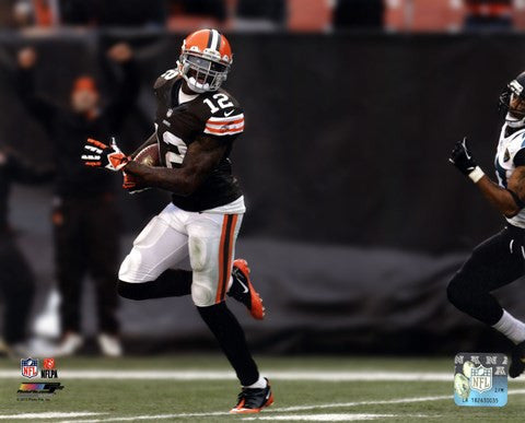 Josh Gordon 2013 Action