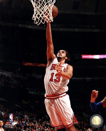 Joakim Noah 2013-14