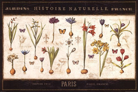 Histoire Naturelle I