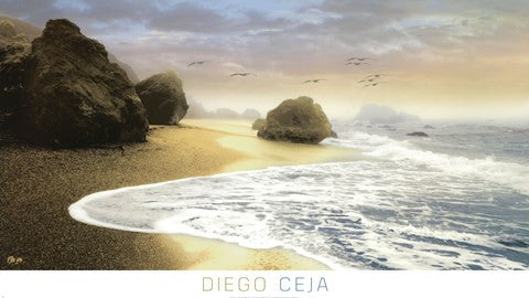 Bodega Beach I