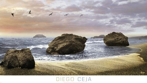 Bodega Beach II