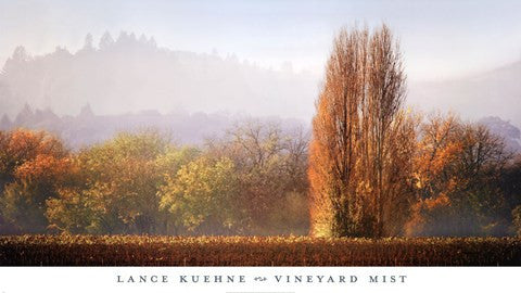 Vineyard Mist