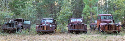 Old rusty cars and trucks on Route 319, Crawfordville, Wakulla County, Florida, USA