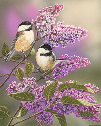 Lilacs and Chickadees